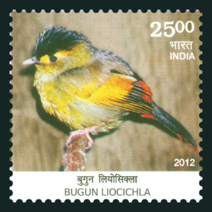 Bugun Liocichla Stamp
