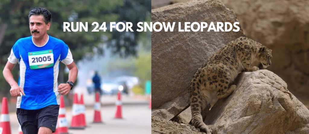 Run 24 for Snow Leopards